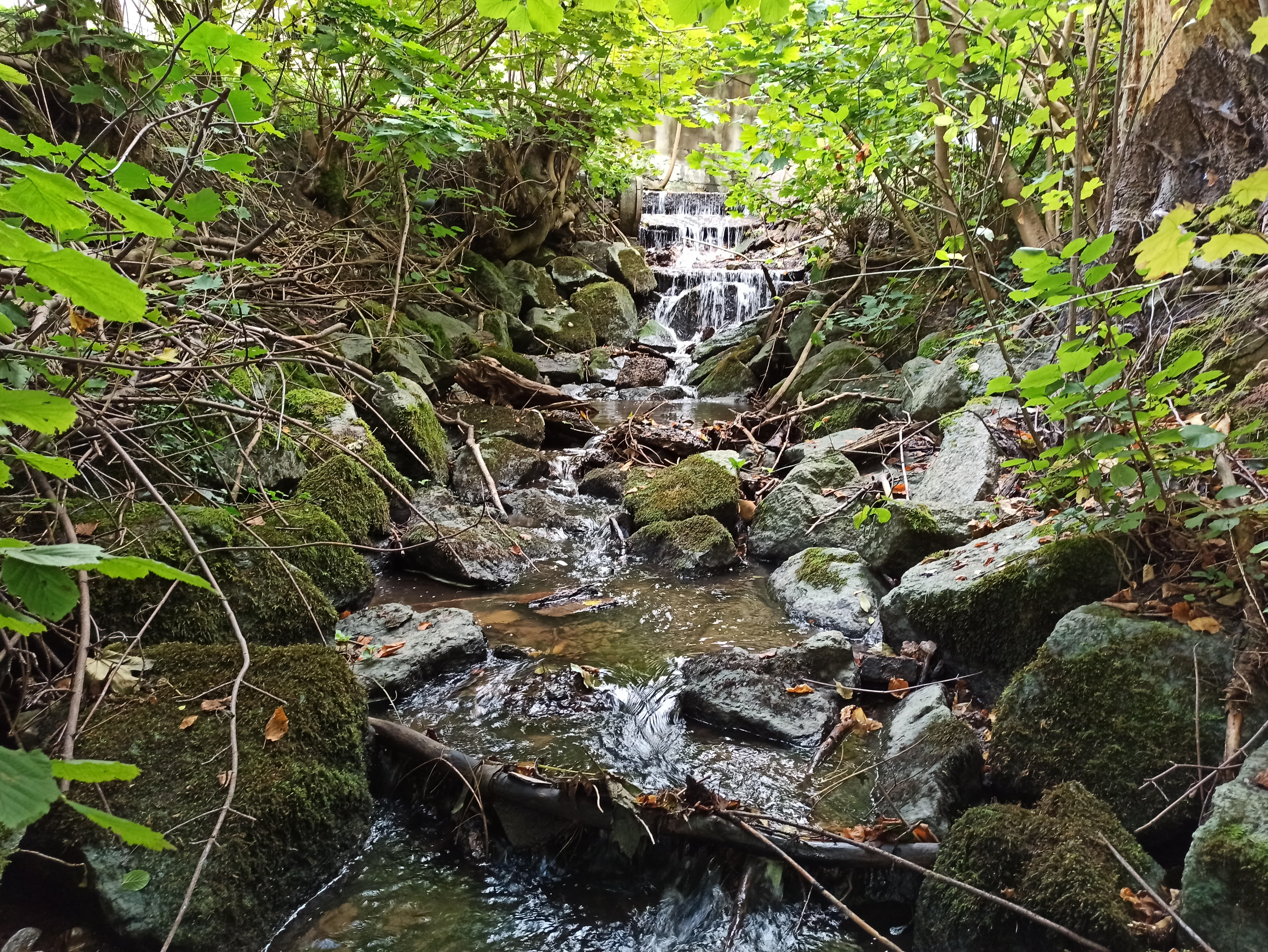 Der Bach Badewasser